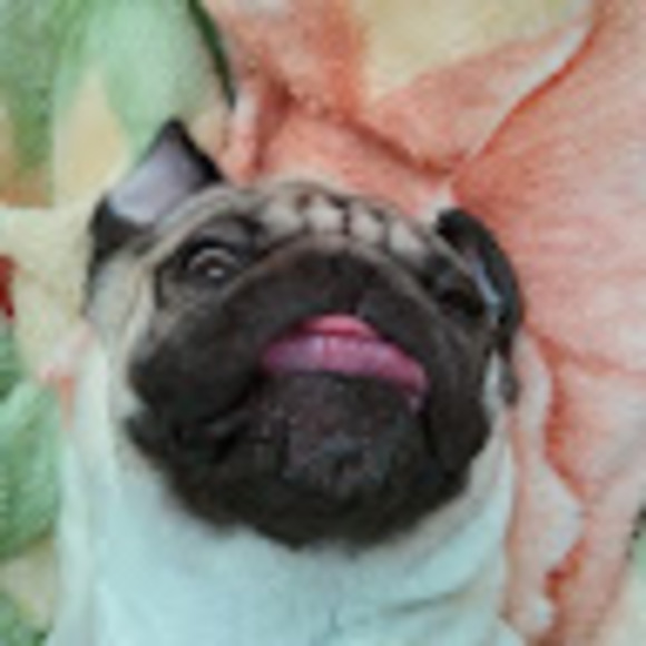 Meet your Posher, C - Picture 1 of 1